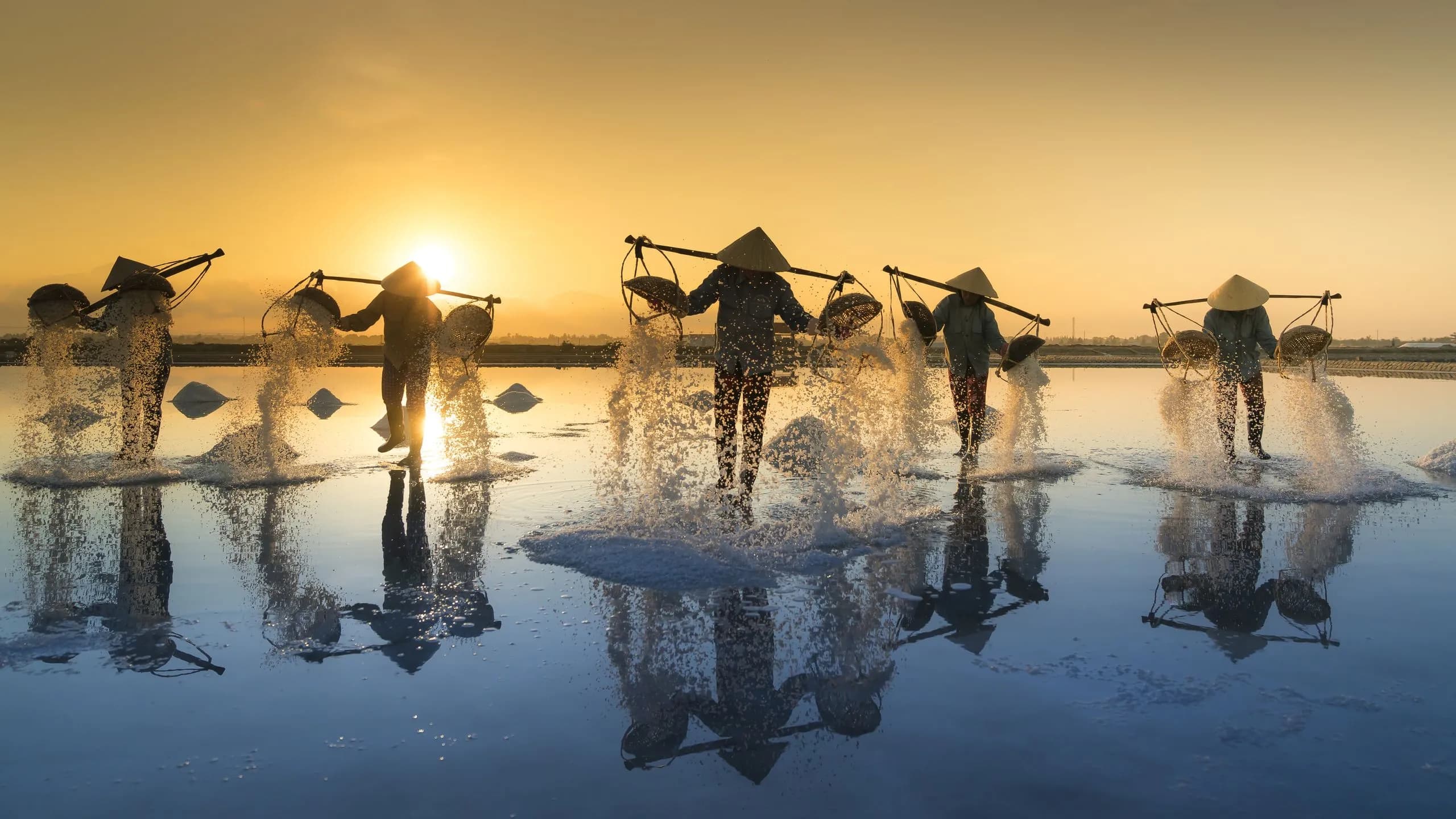 Asie salt-harvesting asia