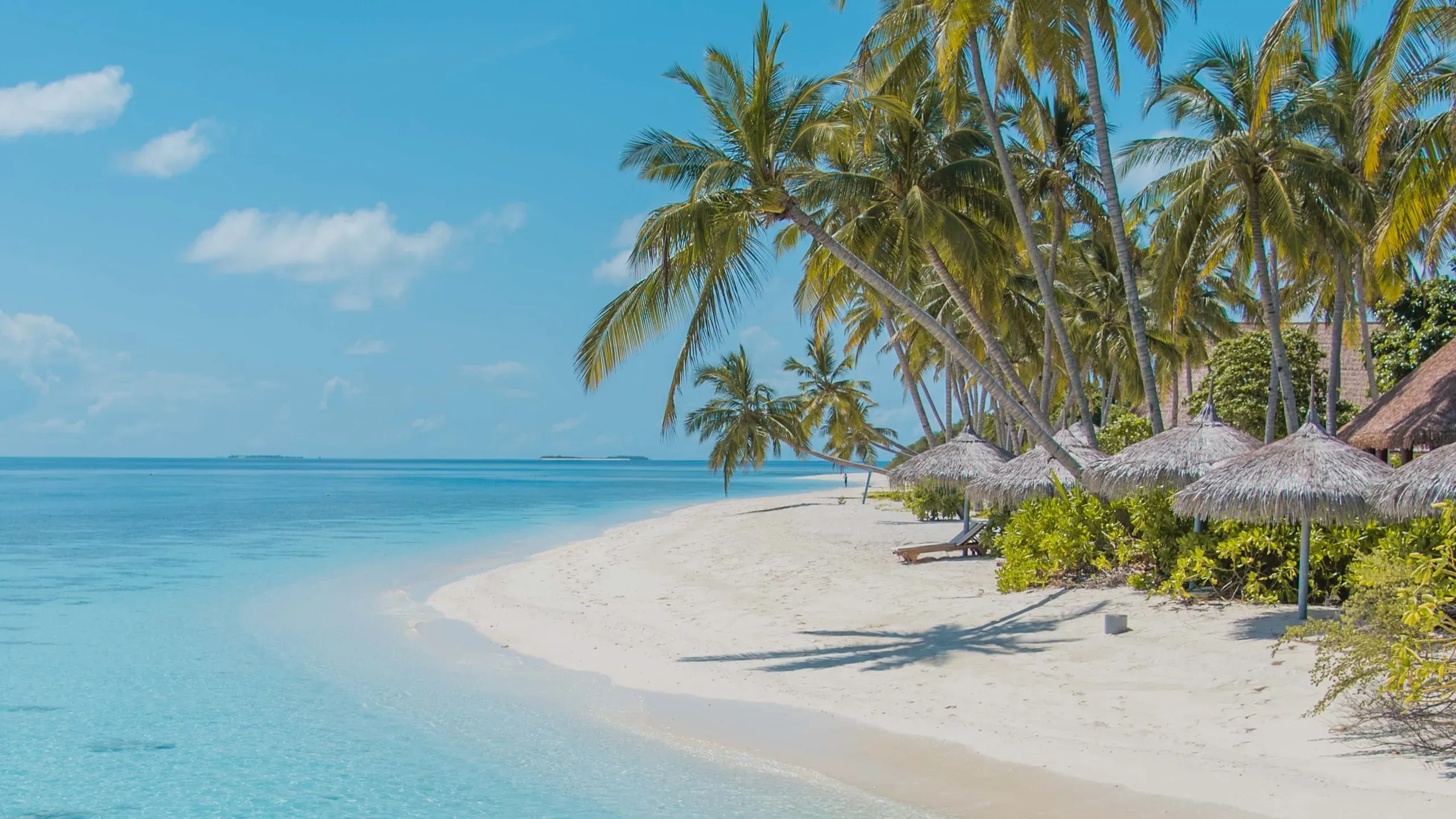 beach_summer_moosa_haleem_758