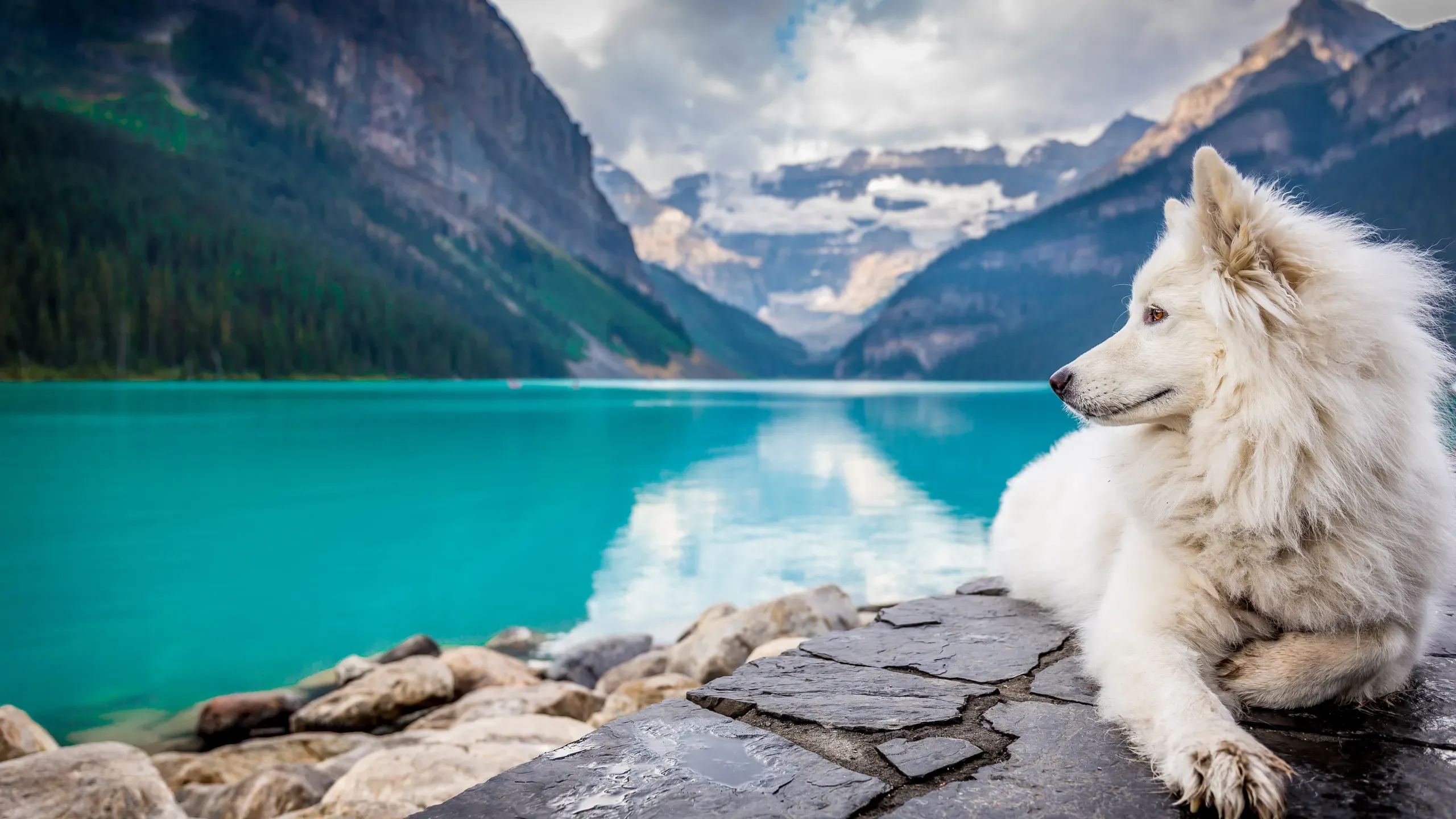 Voyage Nature & animaux